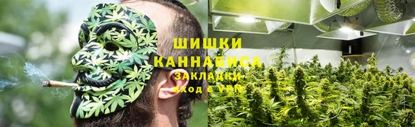 мескалин Алексин