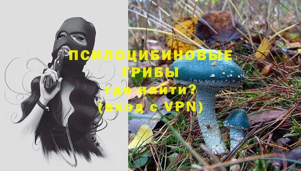 не бодяженный Гусиноозёрск
